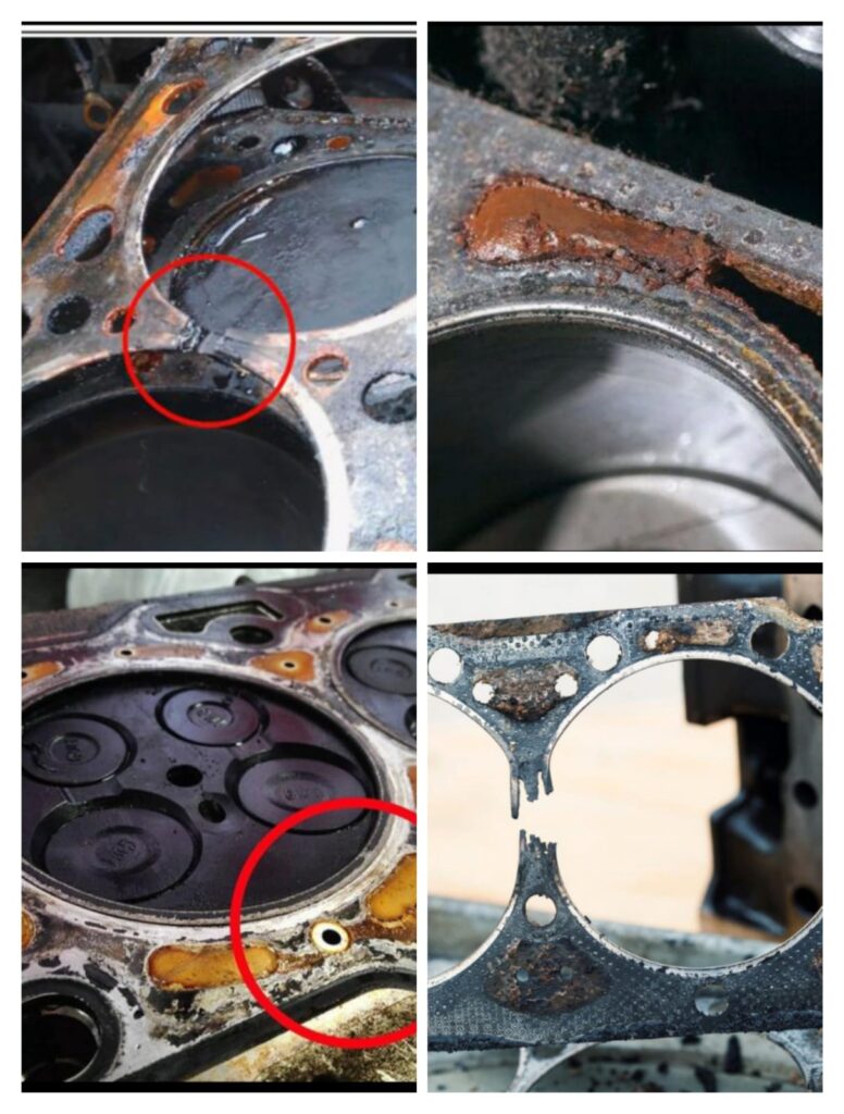 Close-up of a removed head gasket showing a breached section between cylinder and coolant passage. 